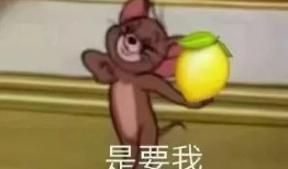 吃瓜顺便表白,心意暗藏——一场别开生面的表白之旅