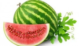 id吃饼吃瓜专用小马甲,网络红人的魅力与影响力