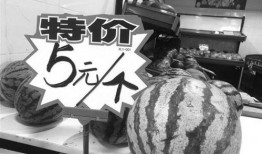 吃瓜群众7020,一场全民参与的舆论风暴