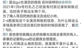 魏嘉吃瓜,揭秘娱乐圈幕后故事