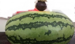 什么叫大家瓜吃,从“大家瓜吃”看全民共享理念