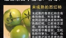 吃瓜886cn,网络热点的幕后故事