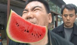 河南实时吃瓜,揭秘当地特色美食背后的故事