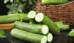 棱瓜哪里吃的多,探寻我国各地美食中的“绿色宝藏”