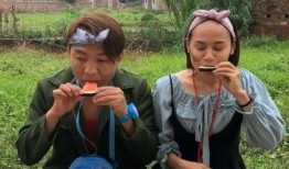 农村365吃瓜比赛,瓜农们的欢乐盛宴