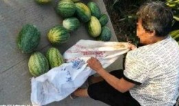 梦到有人偷瓜还吃,偷瓜者现身，瓜田惊魂夜