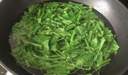 佛手瓜的尖可以吃吗,可食用之谜揭晓