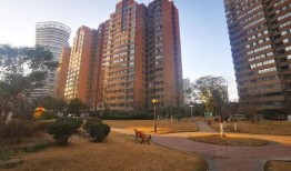 宝龙小区吃瓜,邻里纷争背后的真相揭秘