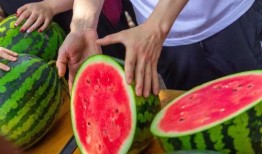 抬个凳子吃瓜,一场别开生面的“抬凳子”盛宴