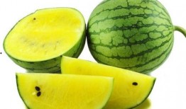 右滑吃瓜图片,一图览尽娱乐圈风云