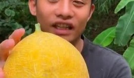 头秃吃瓜,揭秘娱乐圈的脱发与八卦风云