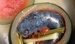 鱼儿吃瓜,鱼儿戏水吃瓜趣事