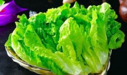 吃瓜网站程女士,吃瓜网站背后的故事与真相