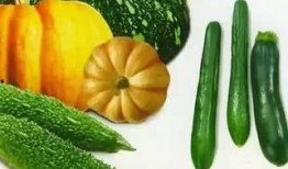 郑州微信吃瓜,揭秘网络热议背后的真相与笑料