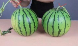 如何学会吃瓜,教你如何成为吃瓜群众高手