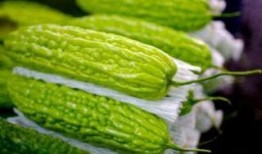 孕妇梦到吃凉瓜,凉瓜暗示的奇妙寓意