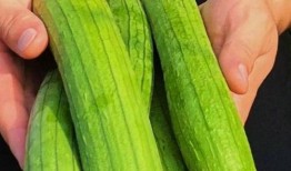 吃瓜怎么吃讲述一下,教你如何优雅地吃瓜