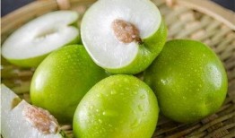 痔疮可以吃葫芦瓜吗图片