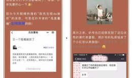 吃瓜网站程女士,吃瓜网站背后的故事与真相