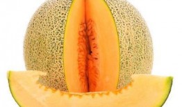 梦梦吃哈密瓜,梦梦的哈密瓜美食之旅