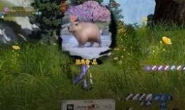 少林吃瓜奇遇,吃瓜群众的神秘探险之旅