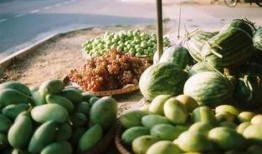 广西1998吃瓜,那一年，瓜田里的故事与变迁