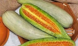 嫋嫋是谁吃瓜,嫋嫋是谁？揭秘娱乐圈新晋吃瓜热点人物