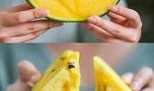 吃瓜衢州,探寻这座城市的美食与故事