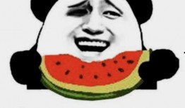 吃瓜社打不开,吃瓜社无法打开背后的真相