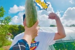 吃瓜一班,揭秘校园里的欢乐与成长