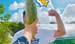 吃瓜一班,揭秘校园里的欢乐与成长