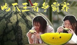 吃瓜王者争霸赛,瓜界风云再起，谁是瓜中霸主？