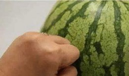 如何学会吃瓜,教你如何成为吃瓜群众高手