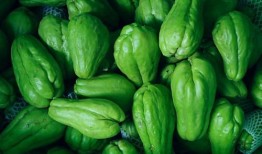 西和县最新吃瓜,揭秘当地特色美食背后的故事