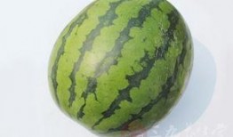 夏季吃瓜别扔皮,吃瓜不弃皮，美味与营养双丰收