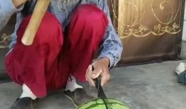 吃瓜社打不开,吃瓜社无法打开背后的真相