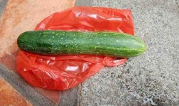 哪种吃的瓜不好,哪些瓜不宜食用，避免健康风险