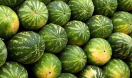 亲近自然吃瓜视频下载,跟随吃瓜视频探索田园生活