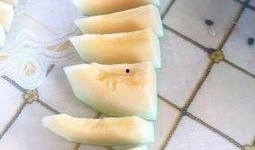 暴躁小卢吃瓜,揭秘娱乐圈幕后风云