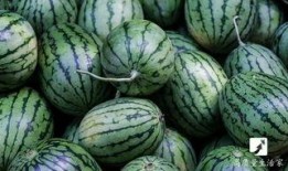 新吃的瓜,揭秘近期热门美食背后的故事