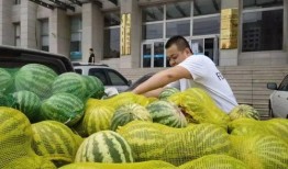 乌海吃瓜大世界,一场味蕾与文化的盛宴