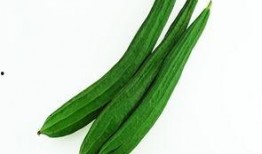 鹤壁科专吃瓜,揭秘吃瓜背后的科技奥秘