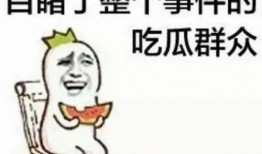 耍酷吃瓜群众,揭秘网络时代的“酷味”现象