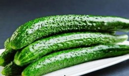 蓝瓜怎么吃效果最好,最佳食用方法解锁营养新境界