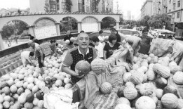 吃瓜群众7020,一场全民参与的舆论风暴