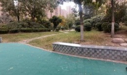 宝龙小区吃瓜,邻里纷争背后的真相揭秘