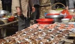 滕州吃瓜事件,一场网络舆论的风暴与反思