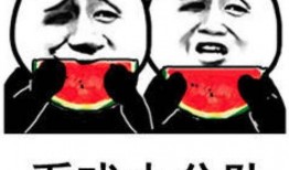 你们吃瓜我吃饼表情包,表情包里的生活百态
