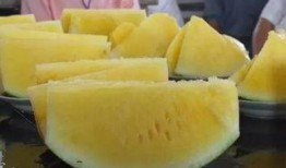 有名的吃瓜事件,揭秘娱乐圈的“吃瓜”狂欢