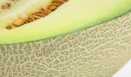 圣哥吃蜜瓜,一场味蕾的奇幻之旅